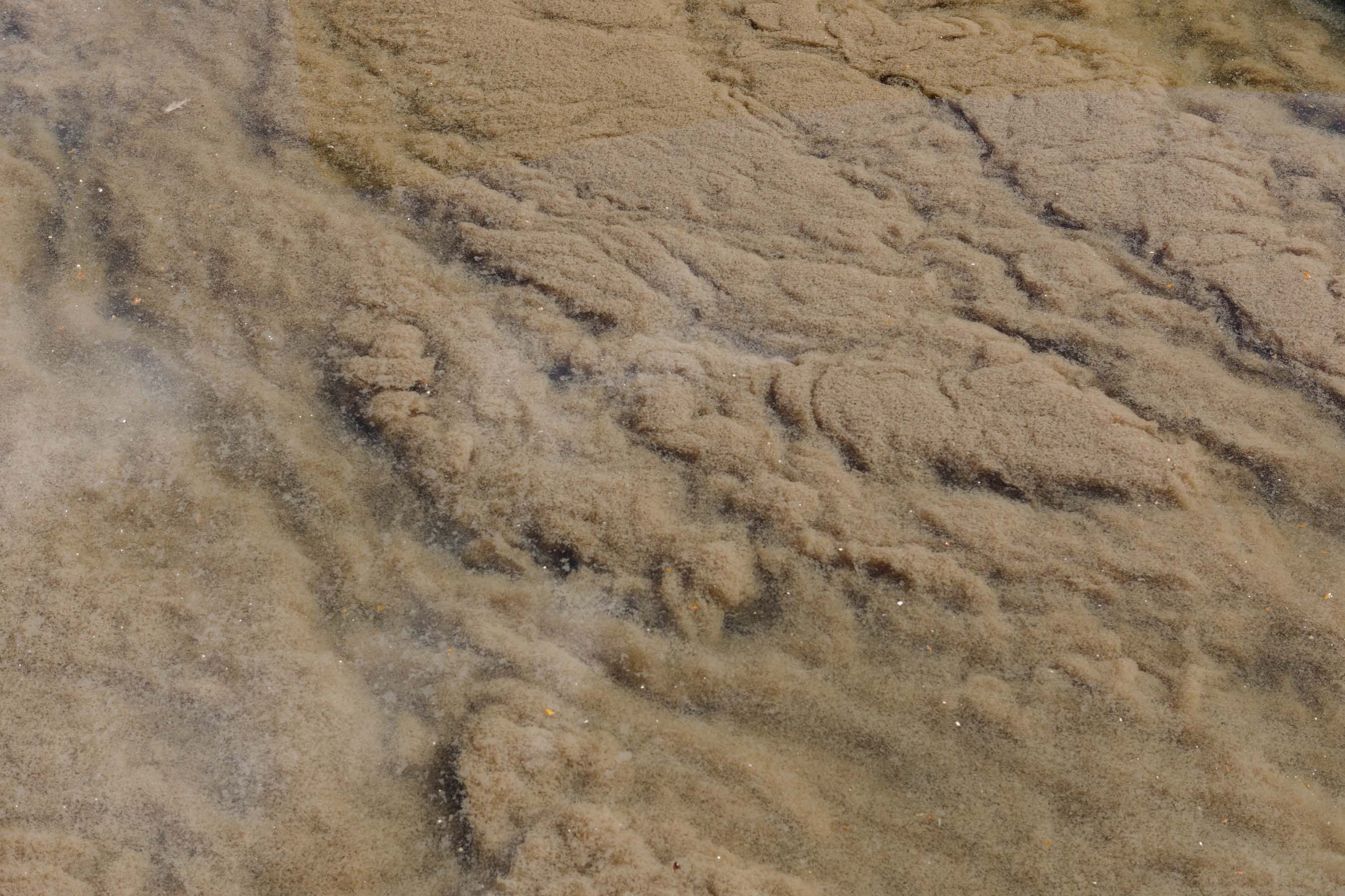 Sewage at the sewage treatment plant Traismauer, Austria.